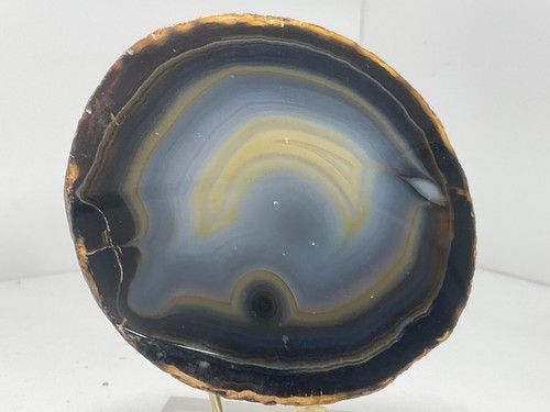 Agate geode slice cut - slice,