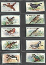 R J LEA 1922 ENGLISH BIRDS (GLOSSY) CIGARETTE CARDS - COMPLETE YOUR SET