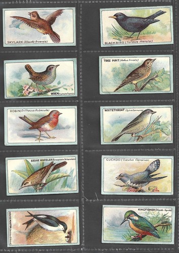 Lea 1922 english birds - j,