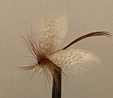 6 x May Fly, natural colour