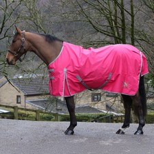 Whitaker W-Horse 0G Standard
