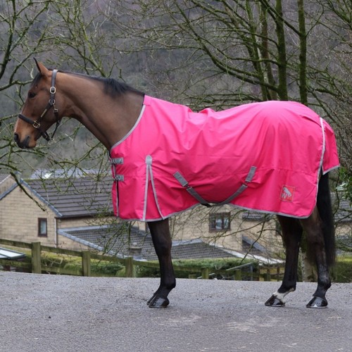 Whitaker horse standard - whitaker, 0g