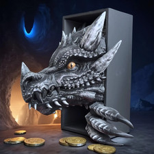 Dragon Book Nook Fantasy Book