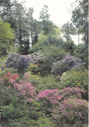 Inverewe gardens wester ross - gardens,