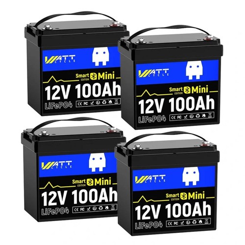 12v 100ah lifepo4 lithium - 12v,