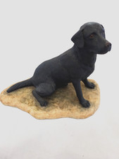 BORDER FINE ARTS SITTING BLACK