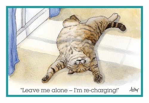 Cat fridge magnet alison - cat,