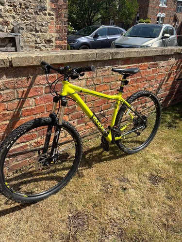 Men mountain bike - men's,