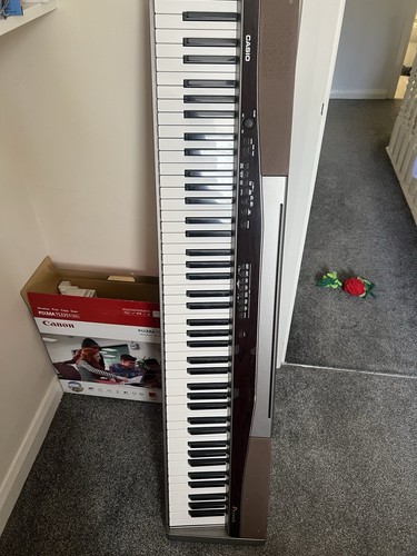Casio privia 100 key - casio,