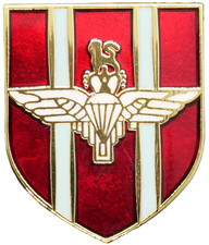 Parachute Regiment Army Pin