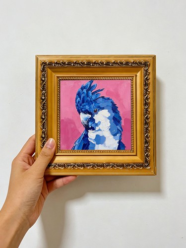Blue parrot pink background - parrot,