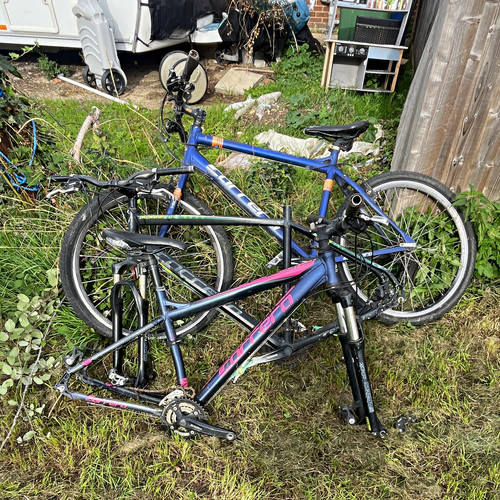 Carrera 26in mountain bike - mountain,