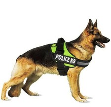 Professional Police K9 Dog