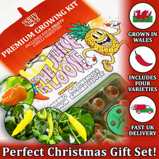 Grow Your Own Chilli Kit - Hot