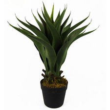 Artificial Tropical Yucca