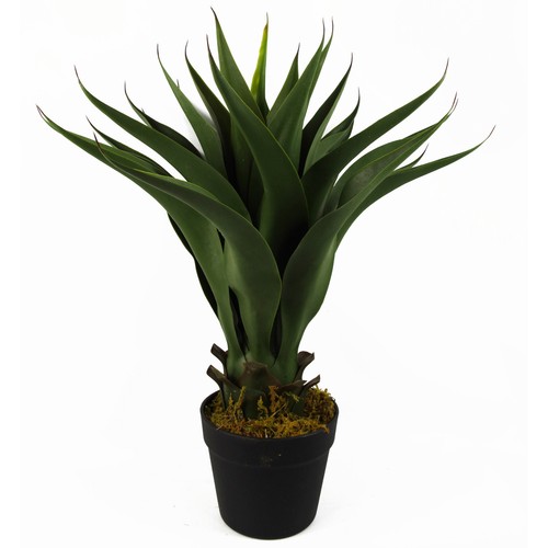 Artificial tropical yucca - artificial,