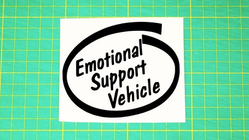 Emotional support vehicle - support,