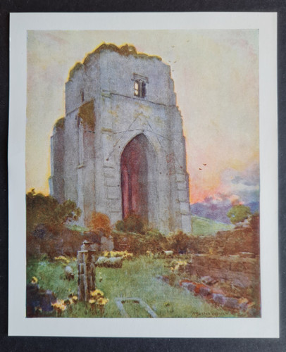 Antique 1908 print shap - antique,