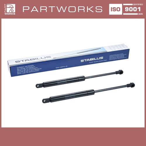 Gas pressure springs - 2x, hood