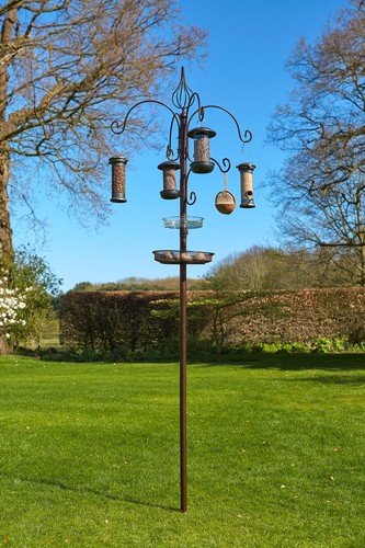 Cotswold bird feeding station - cotswold,