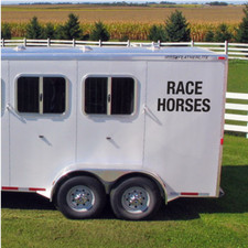 x2 RACE HORSES DECALS