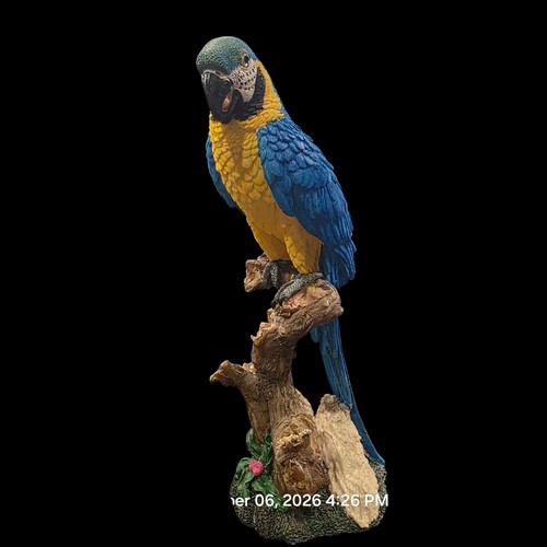 Blue gold macaw parrot - gold,