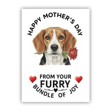 Multiple Breeds Mother’s Day