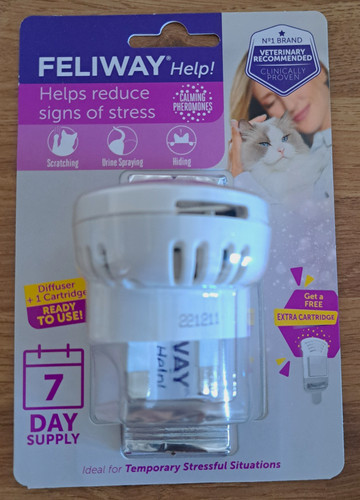 Feliway help cat - feliway, stress