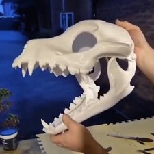 Dog Skull Helmet With Moving