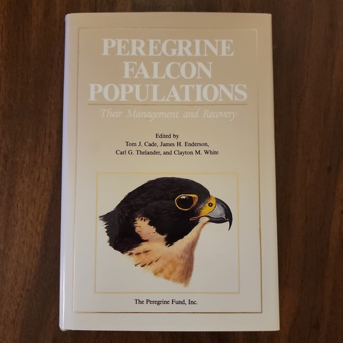Peregrine falcon populations - falcon,