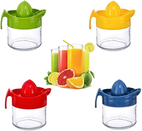 Glass manual fruit juicer - fruit, hand