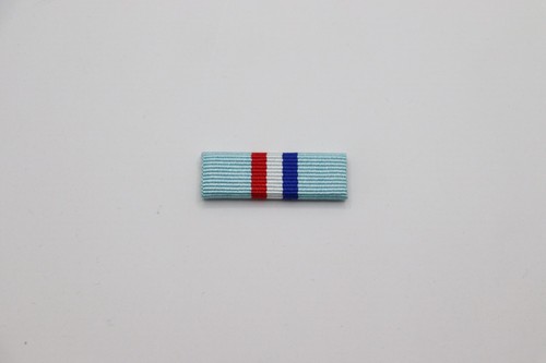 Rhodesia medal 1980 full size - rhodesia,