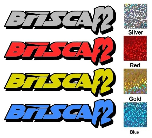 Brisca stock car vinyl - ,