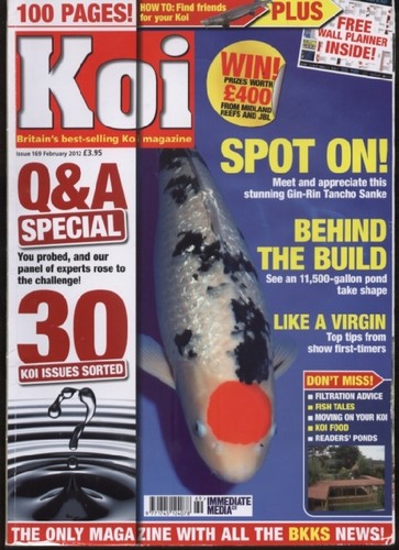 Koi magazine issue - -,