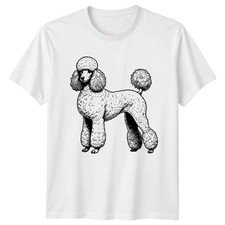 Vintage Standard Poodle Dog