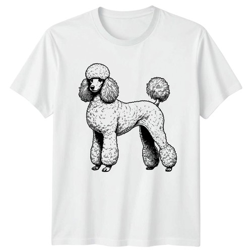 Vintage standard poodle dog - standard,