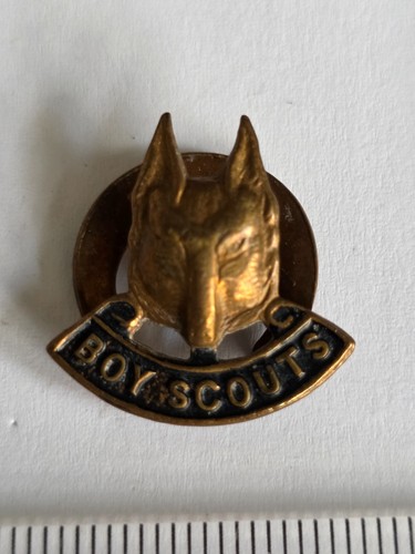 Vintage boy scouts wolf - vintage,
