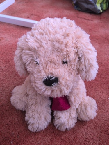 Tesco cockerpoo puppy dog - puppy,