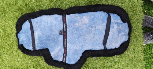 Lemieux pro lambskin - pro, numnah