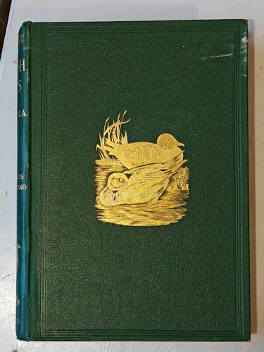 History british birds - british, fo