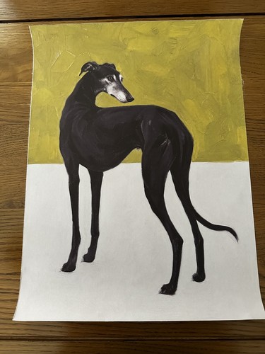 Black whippet greyhound canvas - greyhound,