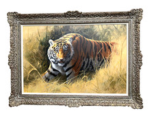 Adrian Rigby Original Oil Painting On Canvas Tiger Prowling Signed