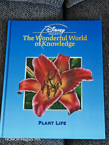 Disney wonderful world - wonderful, of