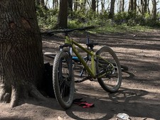 Mountain Bike Trek Marlin 5