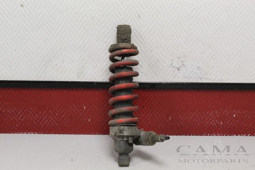 Rear shock absorber triumph - absorber,