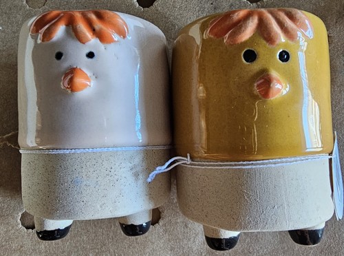 Chicken salt pepper - chicken, set
