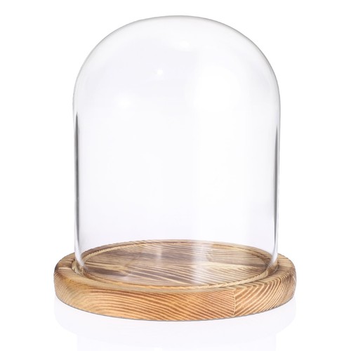 Sumnacon glass display cloche - sumnacon,