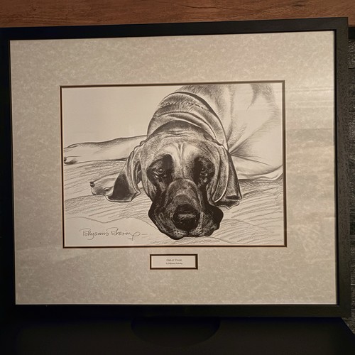 Great dane by pollyanna - “great, dane”