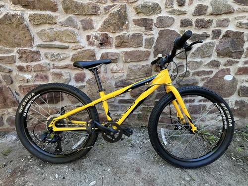 Genesis core kids mountain - 24,