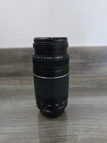 Canon 300mm 5 - 75-300mm, f/4-5.6